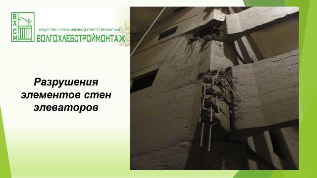 11.jpg 11.jpg